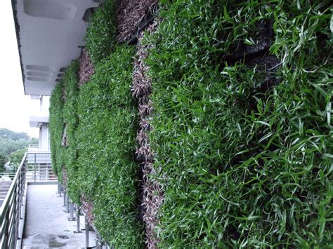 Np ) er en videregående utdanningsinstitusjon og et lovpålagt styre under tilsyn av undervisningsdepartementet , som ligger i clementi, singapore. Ngee Ann Polytechnic's Vertical Extensive Green Wall ...