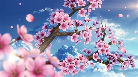 flor de cerezo escénico pétalos cielo sakura anime fondo de pantalla hd wallpaperbetter