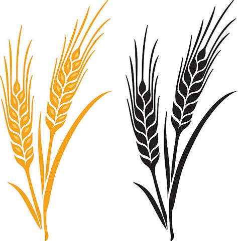Bundle Of Wheat Clip Art Vector Images And Illustrations Istock
