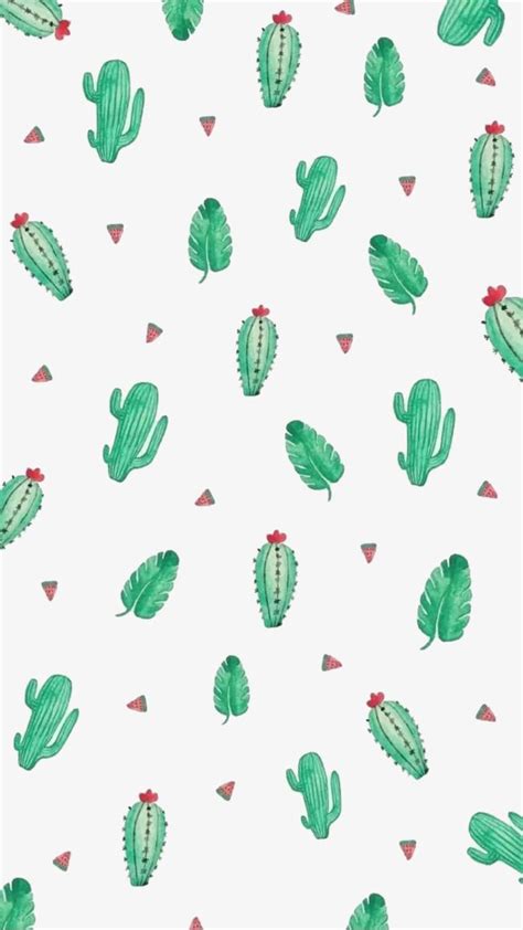 Cactus Fundo De Desenhos Animados Plantas Png Cartoon Cactus Imagens
