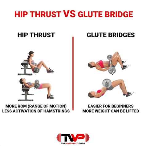 hip thrusts vs glute bridges news city shack