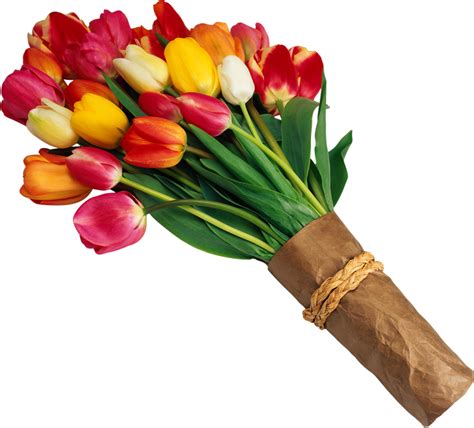 Free Cliparts Tulip Bouquet Download Free Cliparts Tulip Bouquet Png
