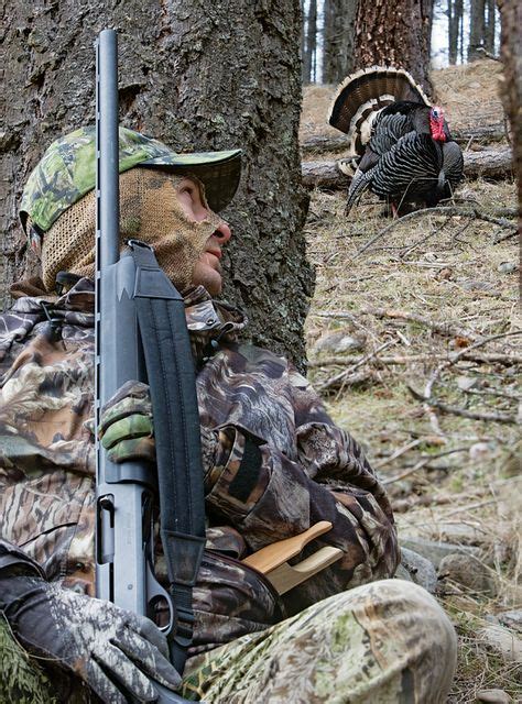 Pin On Turkey Hunting