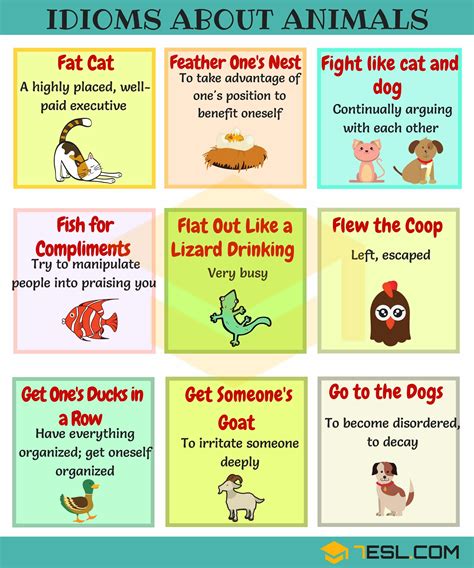 Animal Idioms 165 Useful Animal Idioms From A Z • 7esl English