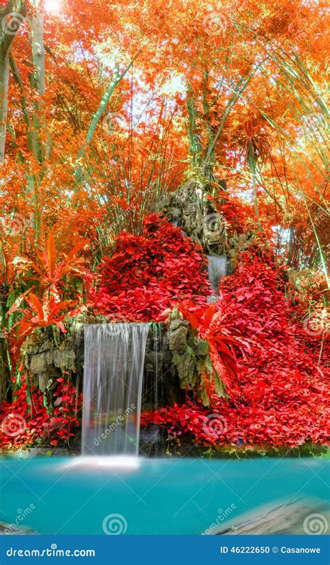 Wonderful Waterfall And Red Leaf In Deep Forest At National Park Stock