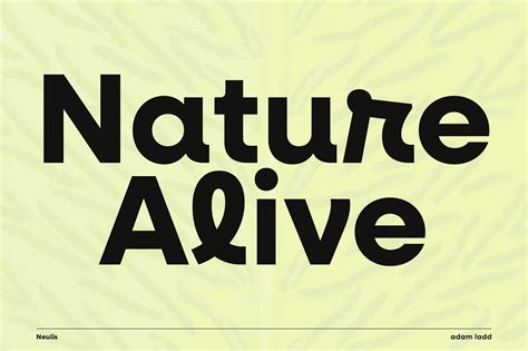 You can find over 2 other 10 italic fonts on fontsup. Pin on Font