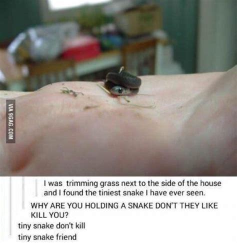 Wholesome Memes Are Bringin The Feels 30 Photos Cute Reptiles