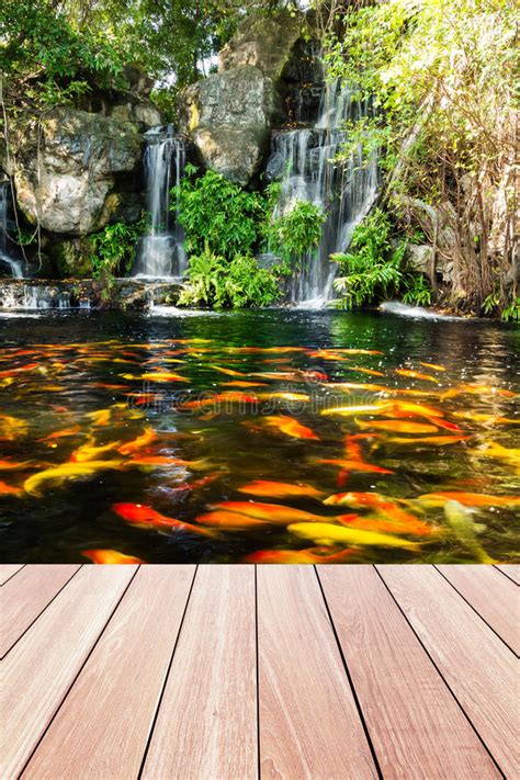 Check spelling or type a new query. Japanischer Garten Koi Teich Mit Wasserfall Stockbild ...