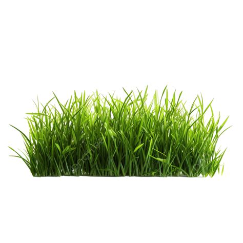 Free Grass Png Free Grass Grass Png Green Grass Png Transparent