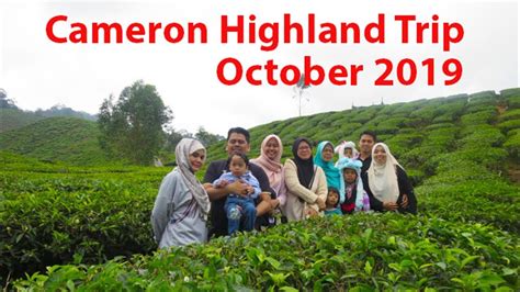 The cameron highlands are generally cool and a little damp, but still enjoyable all year round. Cameron Highlands, October 2019 - YouTube