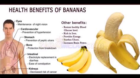 Top Health Benefits Of Bananas Banana Fruit Nutrition Facts And