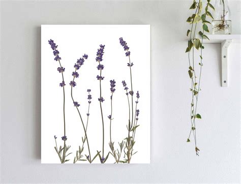Pressed Lavender Botanical Print In 2022 Botanical Prints Lavender
