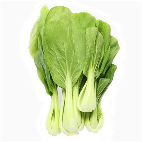 We did not find results for: Pak Choi - Chinese cabbage seeds for hydroponic growing