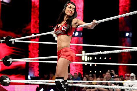Pic Aj Lee As Nikki Bella Complete With Stuffed Top And Bottom Cageside Seats