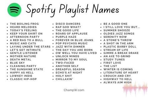 350 Spotify Playlist Names That Covers All The Emotions