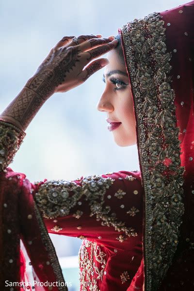Stunning Close Up Capture Of The Beautiful Maharani Photo 195378