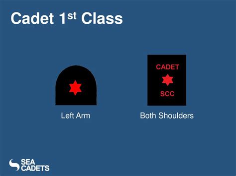 Ppt Sea Cadet Corps Ranks And Rates Powerpoint Presentation Free