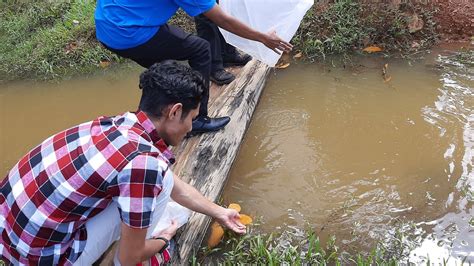Find out more aboutfull time or temporary employment at jabatan hutan negeri sarawak. Pembukaan Taman Eko Rimba Dan Hutan Taman Negeri Di Negeri ...