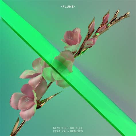 One, two it's so hard to say it but darling let's face it these feelings revealing cannot be ignored. Flume feat. Kai - Never Be Like You Lyrics | Musixmatch