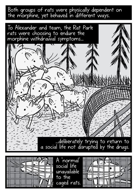 Rat Park Drug Experiment Comic Stuart Mcmillen Comics