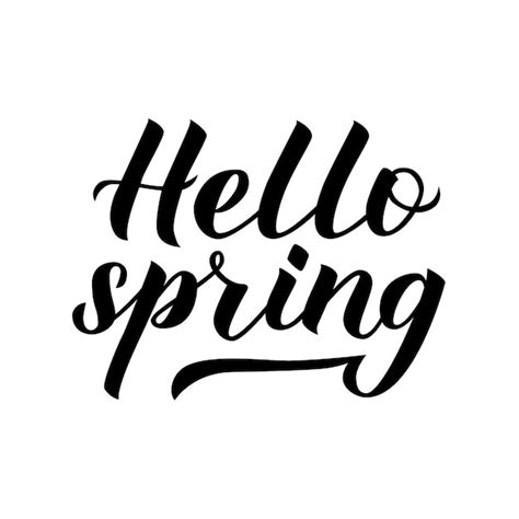 Premium Vector Hello Spring Calligraphy Lettering Isolated On White