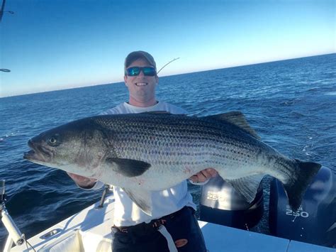 Will The Striped Bass Pass Delaware Delaware Surf