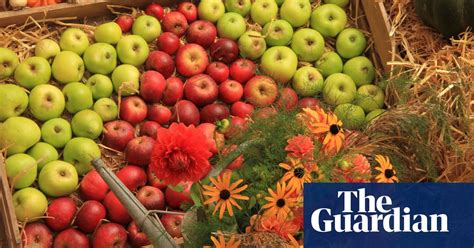 Harvest Festivals Feasts And Fare This Autumn In The Uk Day Trips