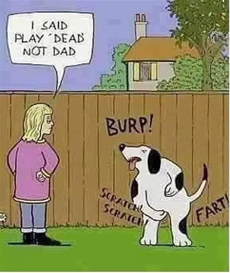 Untitled Funny Pix Funny Dog Memes Cartoon Jokes