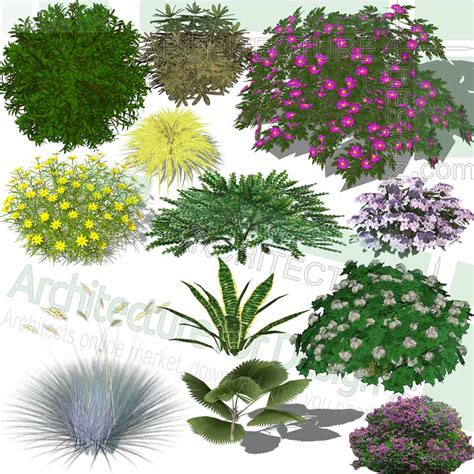 Sketchup is very interesting for garden design because it allows to model a 3d garden project. Trees, shrubs and flowering plants Sketchup models, Free download!