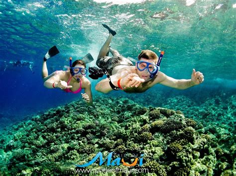 Uncover All That Maui Has To Offer Including Our Magical Underwater Life Pride Of Maui Offers