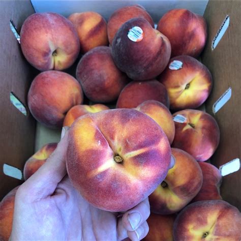 Peaches Information Recipes And Facts