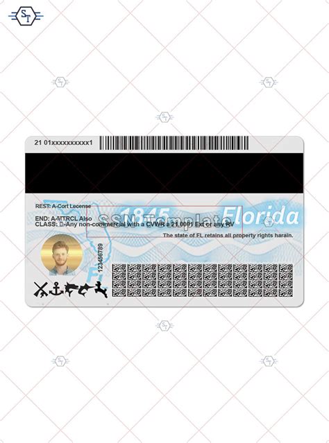 Florida Driving License Psd Template Buy Psd Template