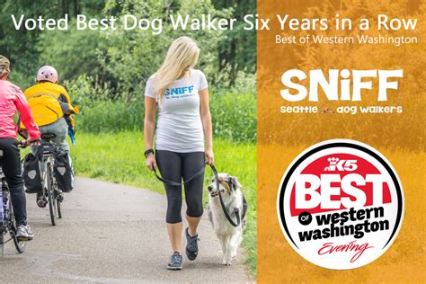 Sniff Seattle Dog Walkers Voted Best Dog Walker 6 Years In A Row