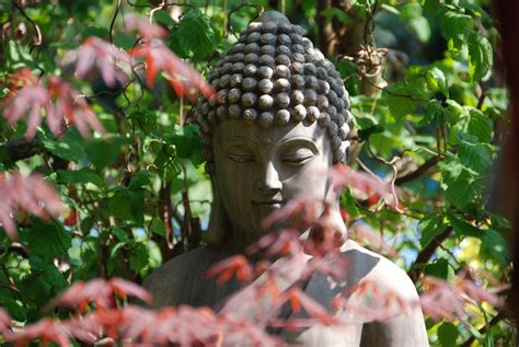 Buddha figuren im garten sind inspiration und ausdruck eines lebensgefühls zugleich. Buddha im meinem Garten - Leuchtendes Selbst