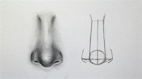 Cara Menggambar Hidung Untuk Pemula How To Draw A Nose Youtube