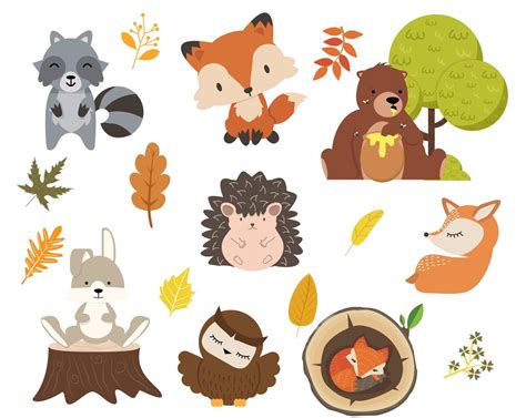 Lindo Conjunto De Caracteres De Dibujos Animados De Animales Del Bosque