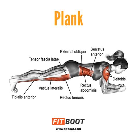 Plank How To Do Proper Form Benefits Variations And Is It Worth It