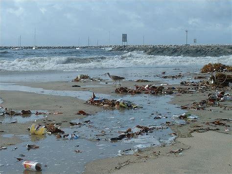 Pollution Alert Avoid The Beaches For 72 Hours Laist
