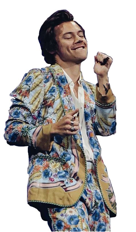 Harry Styles Png Picture Png All Png All