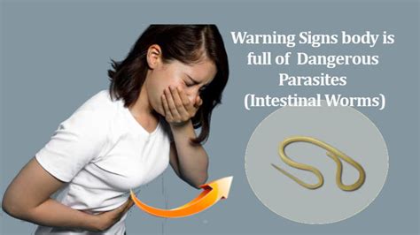 10 Warning Signs That Your Body Is Full Of Dangerous Parasites