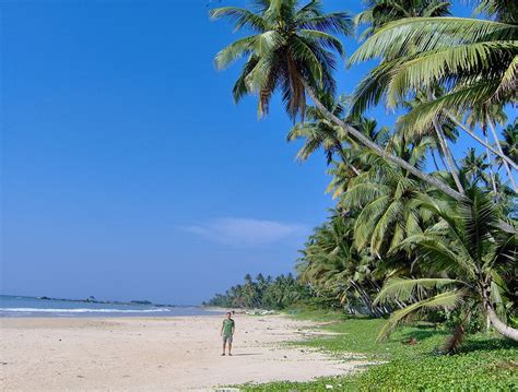 Hotels near national zoological gardens of sri lanka. File:Matara Beach, Sri Lanka.JPG - Wikimedia Commons