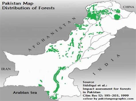 Deforestation In Pakistan