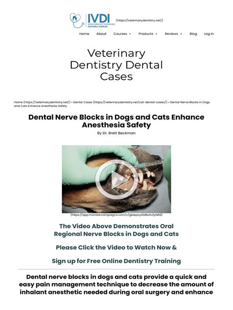 Dental Nerve Blocks In Dogs And Cats Enhance Anesthesia Safety Pdf