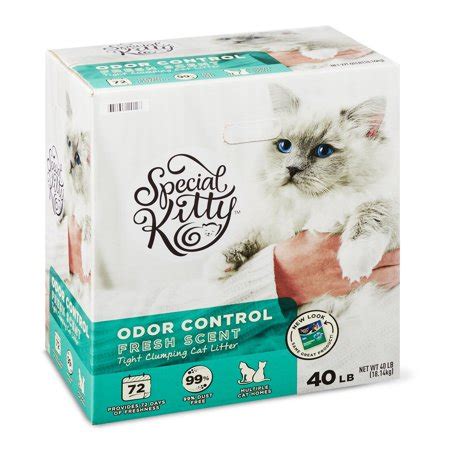 Kitty kat is a song recorded by american singer beyoncé for her second studio album, b'day (2006). Special Kitty Scoopable Tight Clumping Cat Litter, Fresh ...