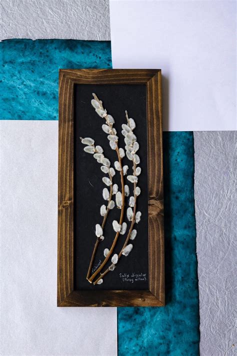 Real Pussy Willow Branches Framed Home Decor Pressed Etsy