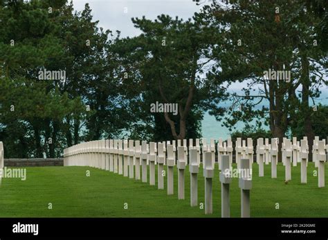 Rows Of White Crosses Of Fallen American Soldiers At American War