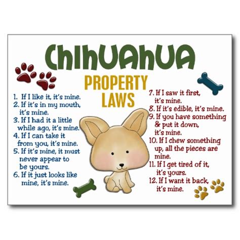 Isn't fluffy a chihuahua? still panting, heather said, yes. Chihuahua Quotes. QuotesGram