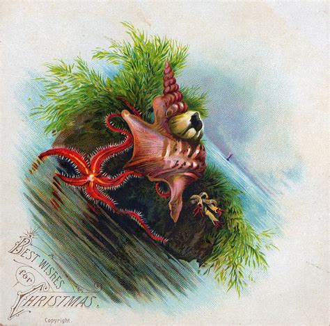 Have A Creepy Little Christmas With These Unsettling Victorian Cards