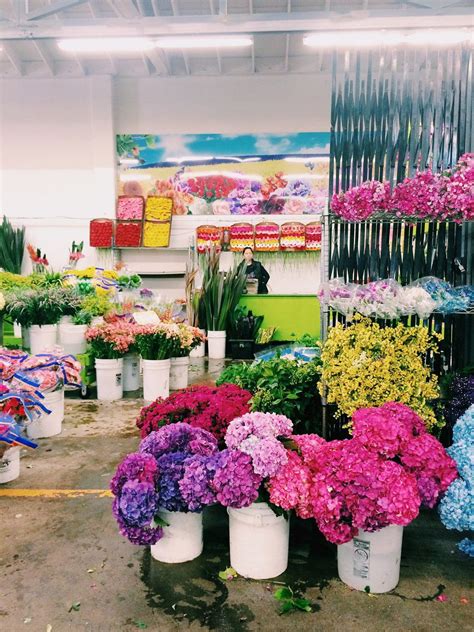2314 chestnut st san francisco, ca 94123 estados unidos. Book Review: See San Francisco | Flowers, Beautiful ...