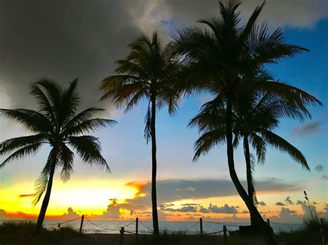 Beach Sunrise Palm Trees Celestial Shorts Jeans Outdoor Palm
